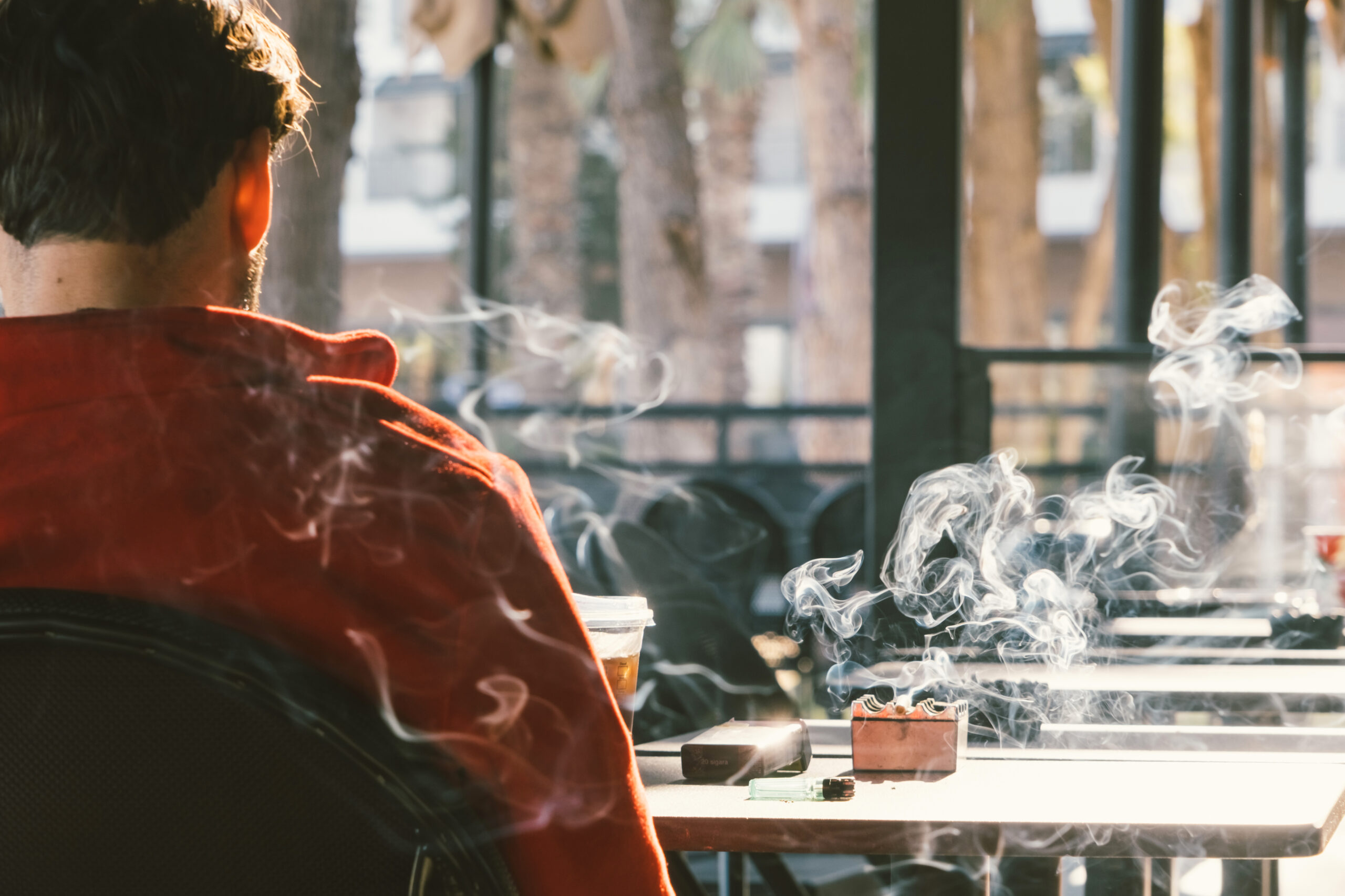 SOLICITUD PVR PASO A PASO